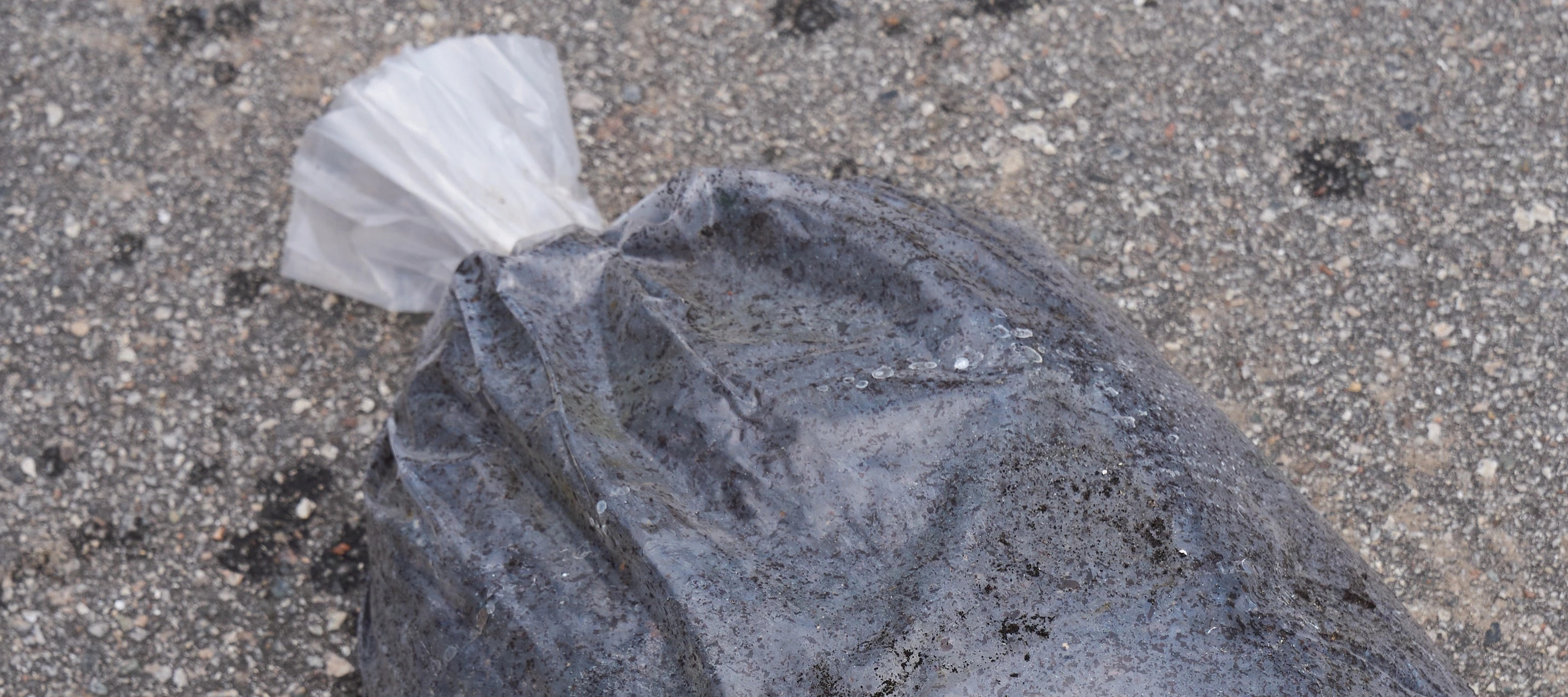 Premium potting soil at a nursery in Orlando, FL.