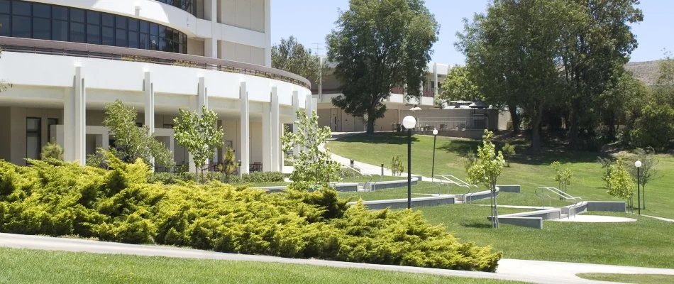 Green grass, trees, and shrubs outside a white building.