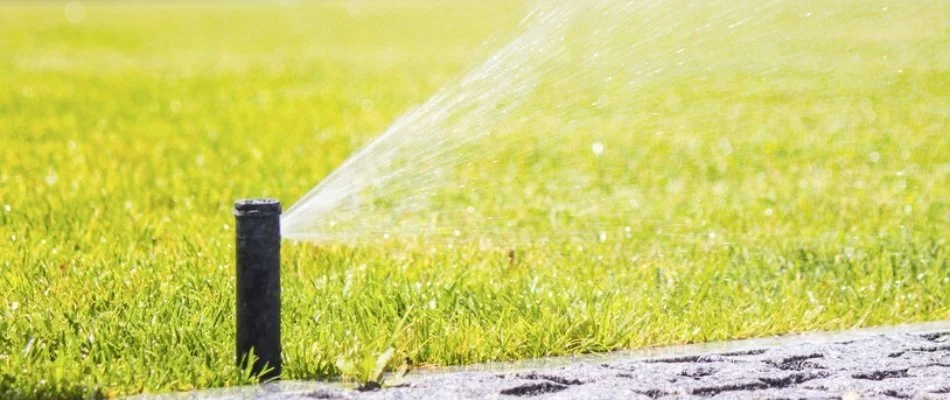 Lawn in Orlando, FL, with sprinkler irrigation head.