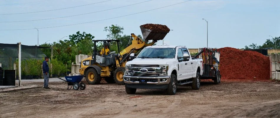 Chocolate mulch at a nursery in Orlando, FL.