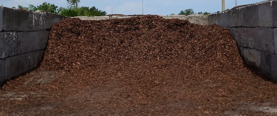 Pine bark mulch inside of a nursery in Orlando, FL.