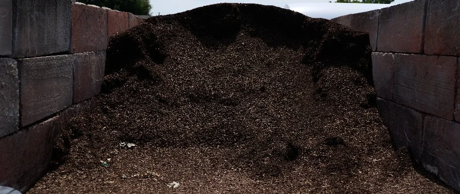 Premium potting soil at a nursery in Orlando, FL.